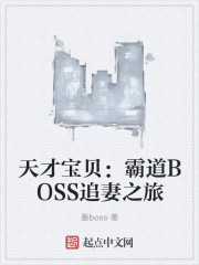 天才宝贝：霸道BOSS追妻之旅